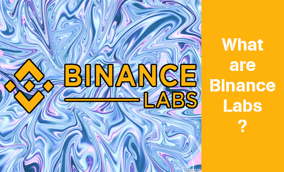 Binance Lab is one of the leading investment funds in the crypto market