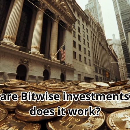 What are Bitwise investments? How does it work?