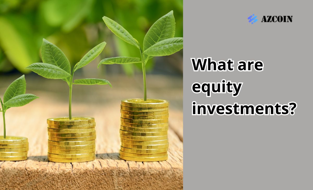 What are equity investments?