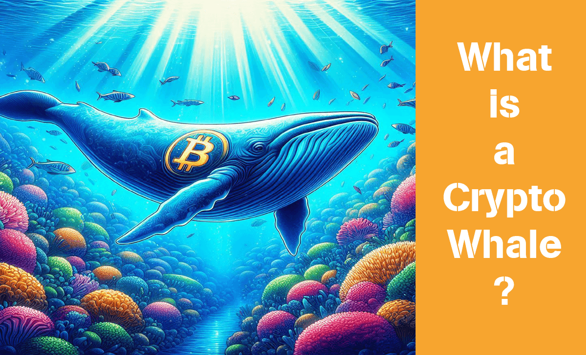 Crypto Whale is a term used to refer to individuals or organizations holding a large amount of certain tokens