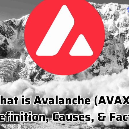 What is Avalanche (AVAX)? Definition, Causes, & Facts