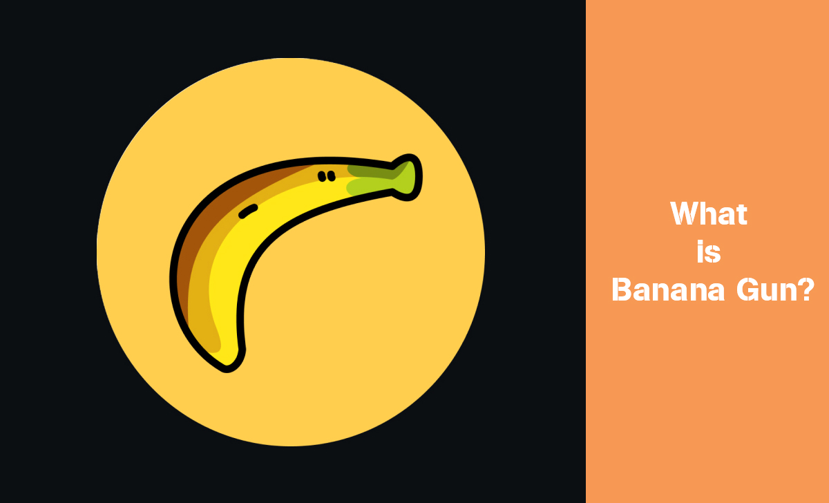 Banana Gun is a decentralized autonomous organization that focuses on creating a decentralized ecosystem for the Banana Token.