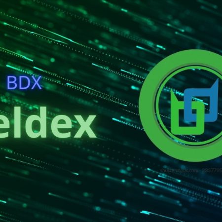 What is Beldex (BDX)? All you need to know