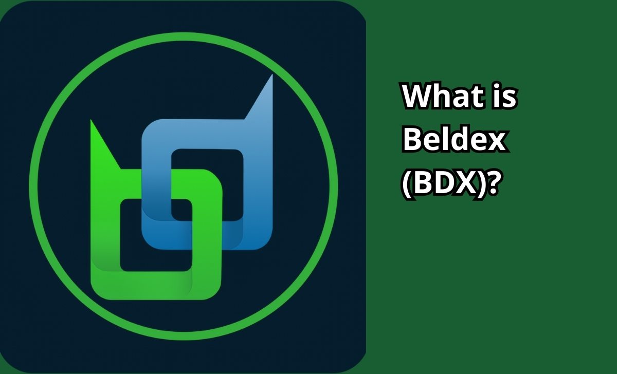 What is Beldex (BDX)?