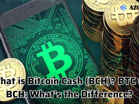 What is Bitcoin Cash (BCH)? BTC vs BCH: What’s the Difference?