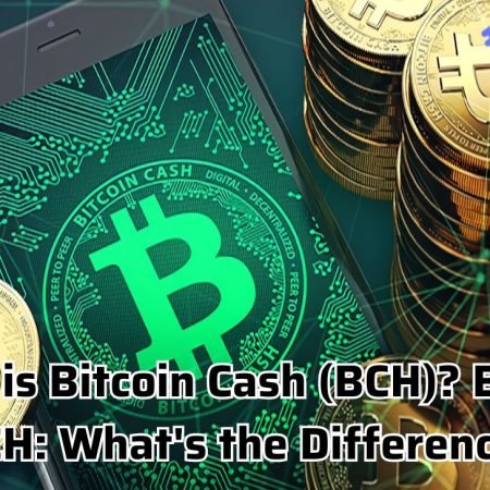 What is Bitcoin Cash (BCH)? BTC vs BCH: What’s the Difference?