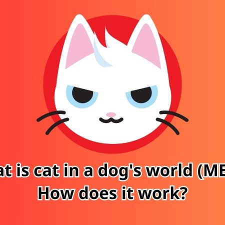 What is cat in a dog’s world (MEW)? How does it work?