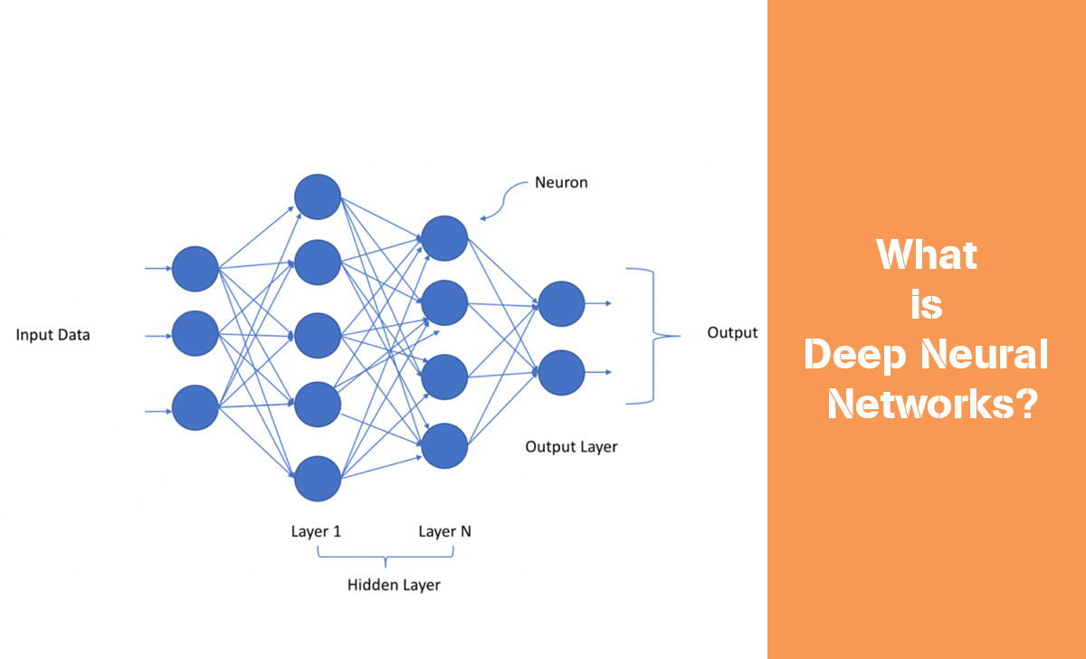 Deep Neural Networks are a type of artificial neural network that has multiple hidden layers between the input layer and the output layer.