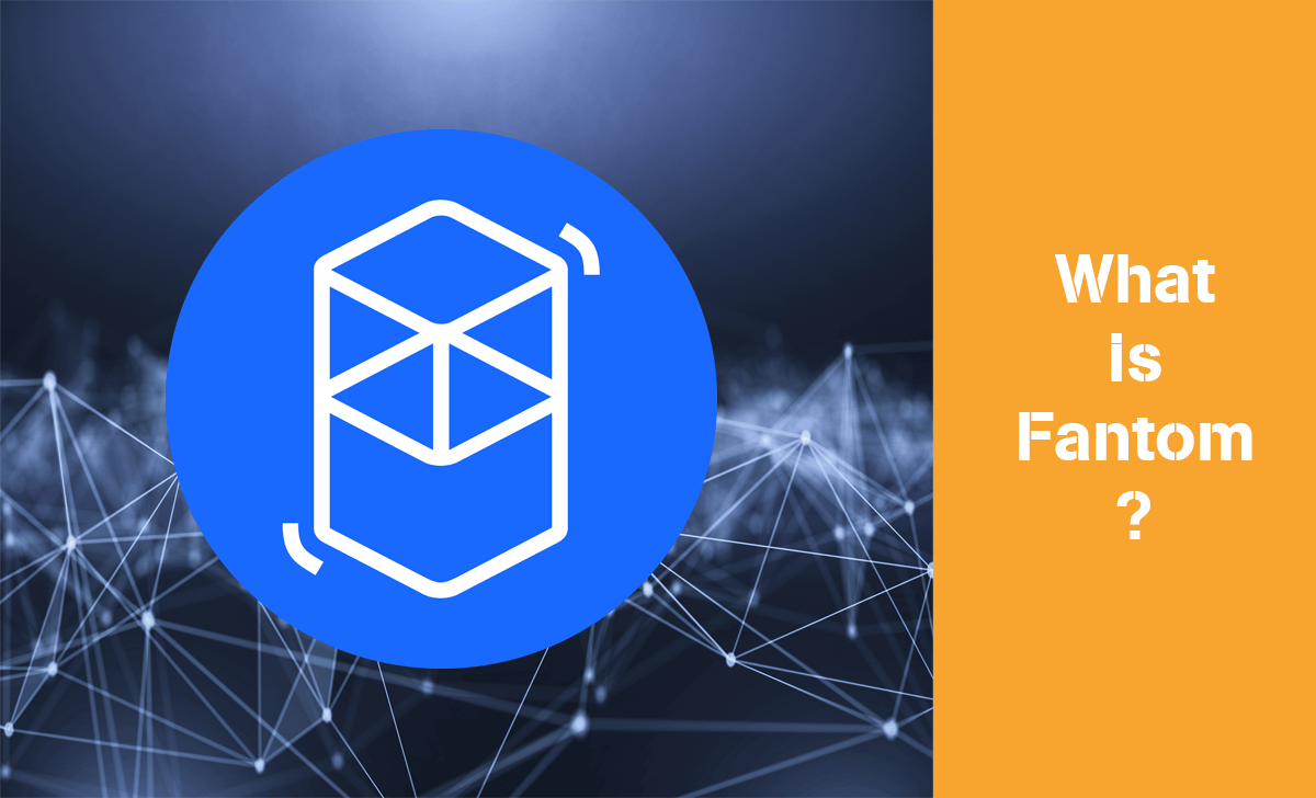 Fantom is a blockchain network that is considered very potential for DeFi projects