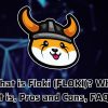 What is Floki (FLOKI)? What it is, Pros and Cons, FAQs