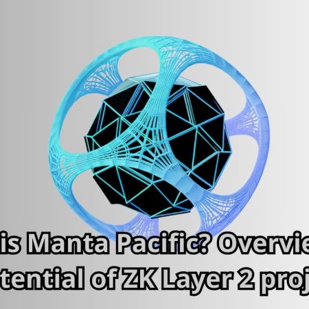 What is Manta Pacific? Overview and potential of ZK Layer 2 project