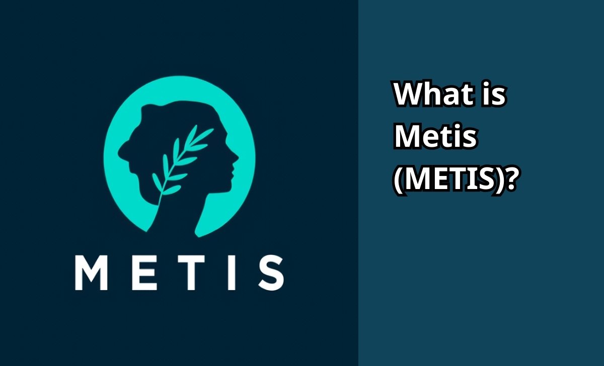 What is Metis (METIS)?