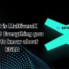 What is MultiversX (EGLD)? Everything you need to know about EGLD