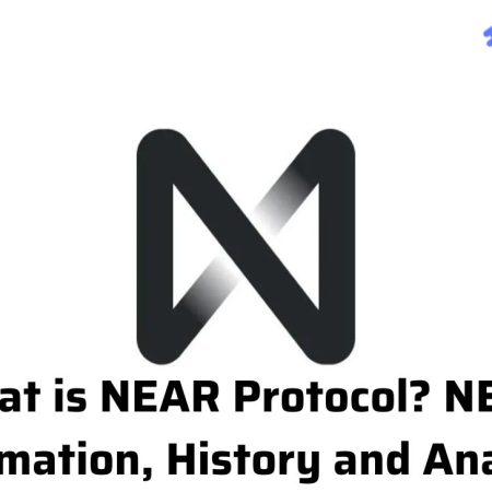 What is NEAR Protocol? NEAR Information, History and Analysis