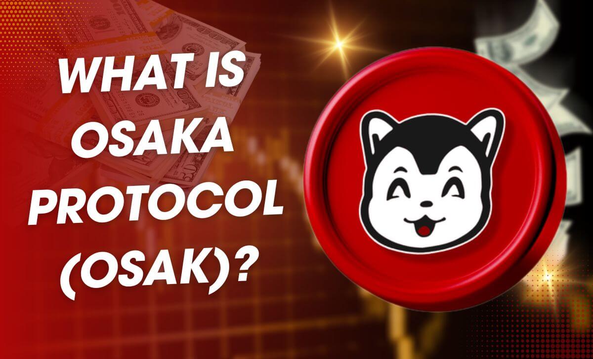 The Osaka Protocol is a combination of meme culture and decentralized finance (DeFi)