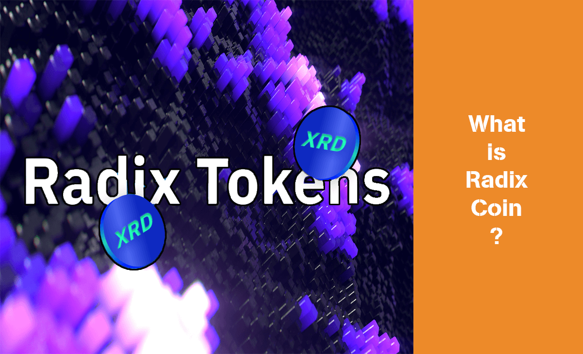 Radix Coin (RDX) is currently the native token of the platform