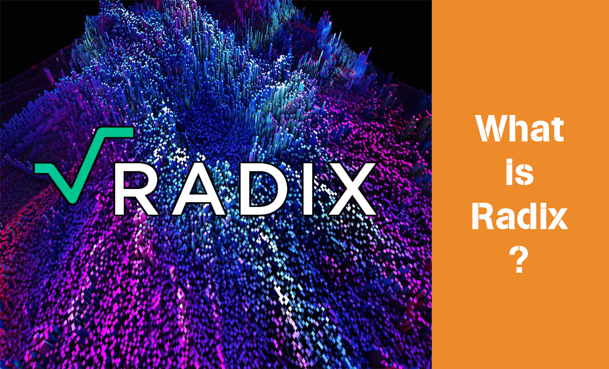 Radix is a Layer-1 smart contract platform born out of the idea of creating a better global financial system