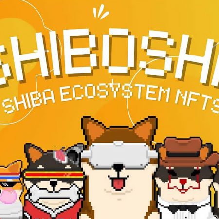 What is Shiboshis? All you need to know