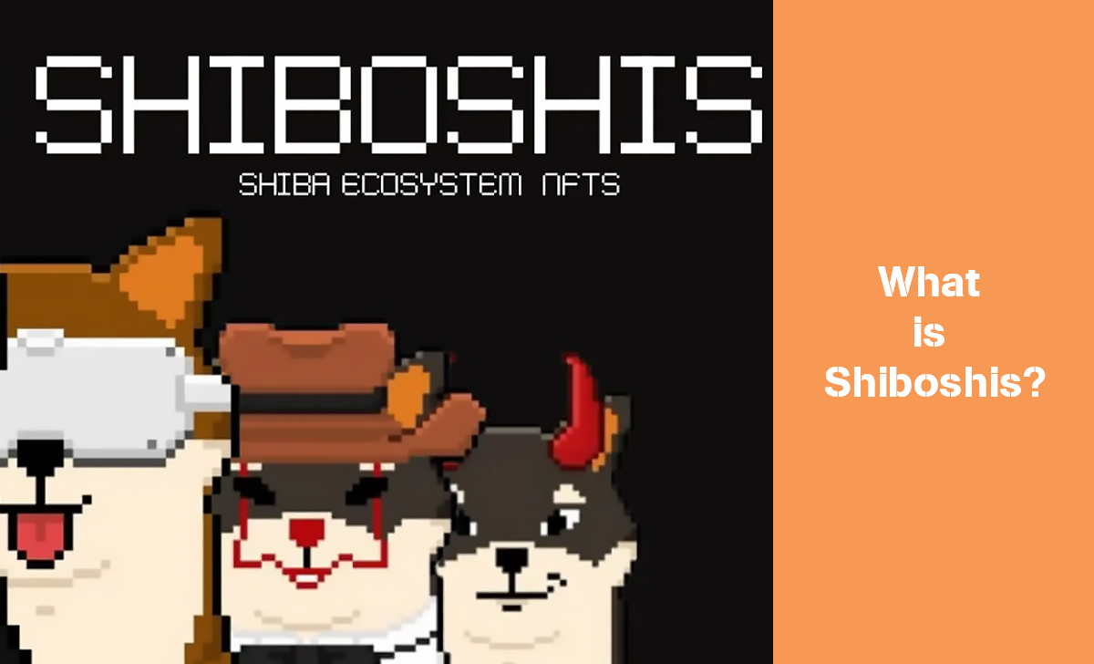 Shiboshis are a collection of non-fungible tokens NFTs tied to the Shiba Inu ecosystem.