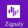 What is Zignaly Token (ZIG)? Everything you need to know