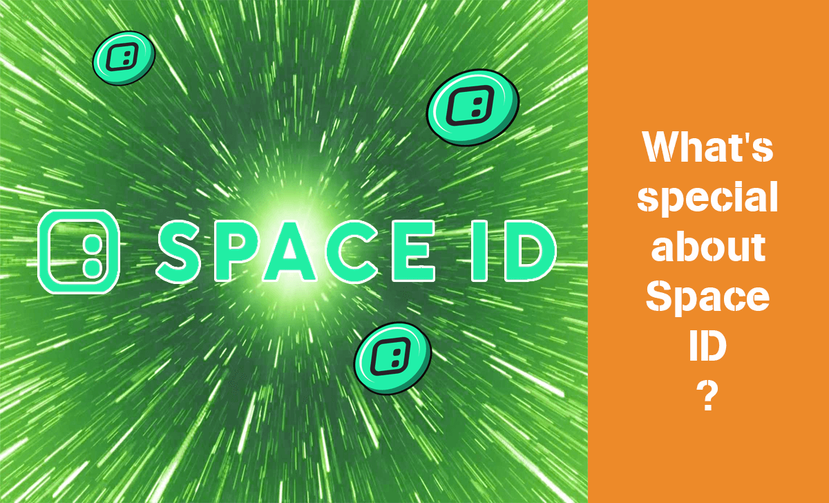 Space ID is not just a platform specializing in providing domain registration services on a single blockchain