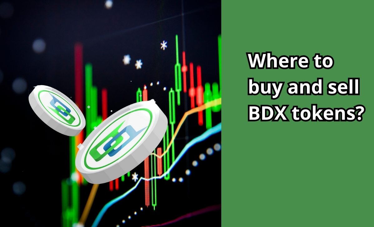 What is BDX token used for?