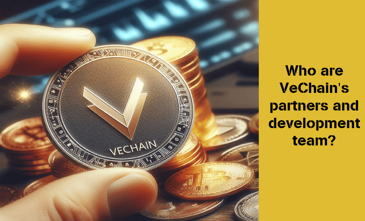 Let find who are VeChain's partners and development team